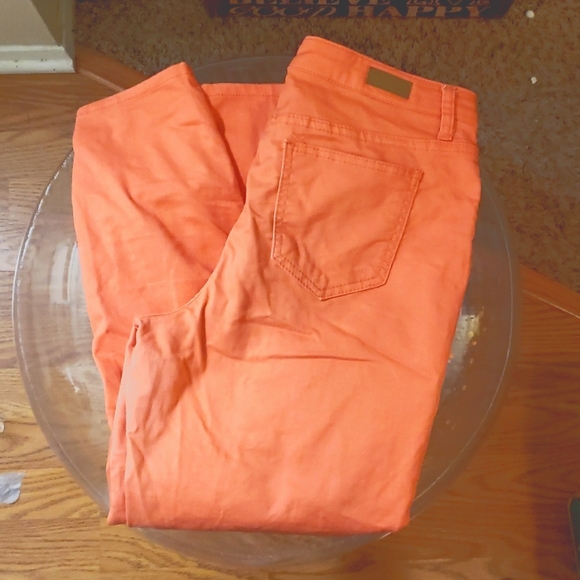 $5 BLACK FRIDAY WEEK SALE Bleu Coral Pants size 12 - Picture 3 of 5